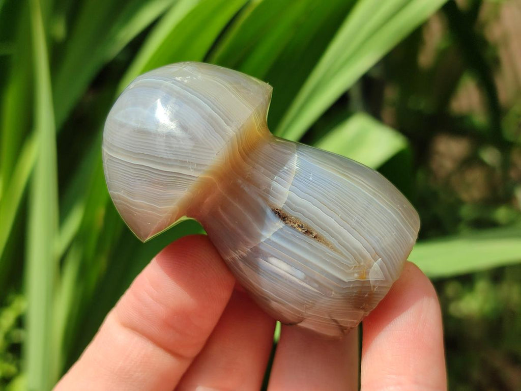 Polished Mixed Selected Multi Mineral Mushrooms x 6 From Madagascar