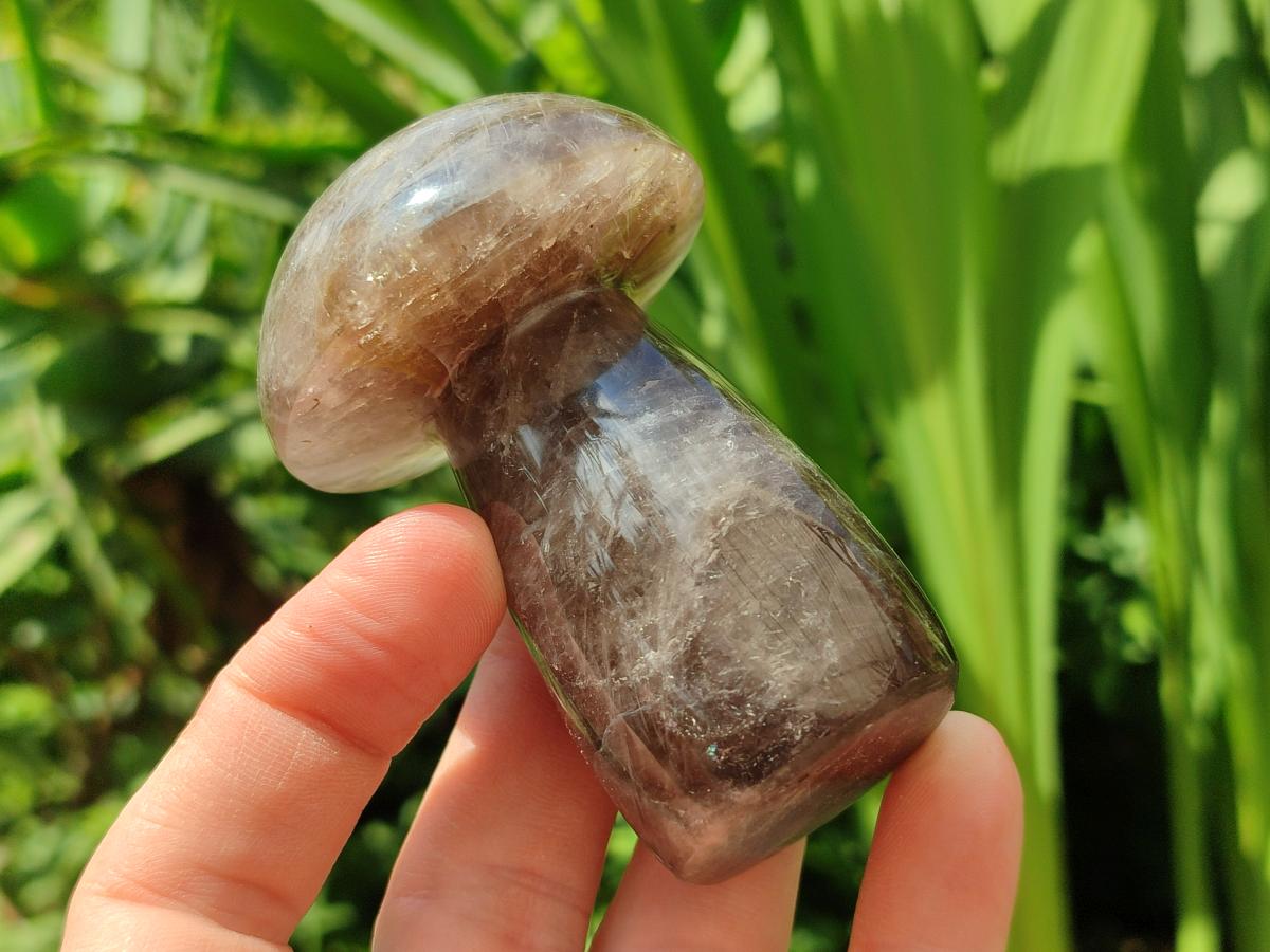 Polished Mixed Selected Multi Mineral Mushrooms x 6 From Madagascar