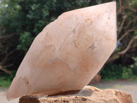 Natural XL Double Terminated Cascading Quartz Crystal x 1 From Madagascar