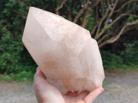 Natural XL Double Terminated Cascading Quartz Crystal x 1 From Madagascar