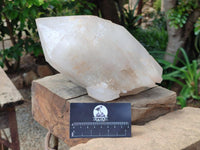 Natural XL Double Terminated Cascading Quartz Crystal x 1 From Madagascar