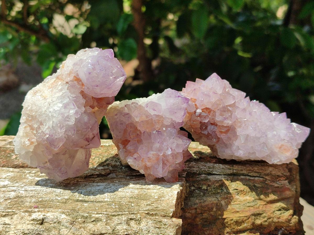 Natural Sunburst Amethyst Spirit Clusters x 6 From Boekenhouthoek, South Africa