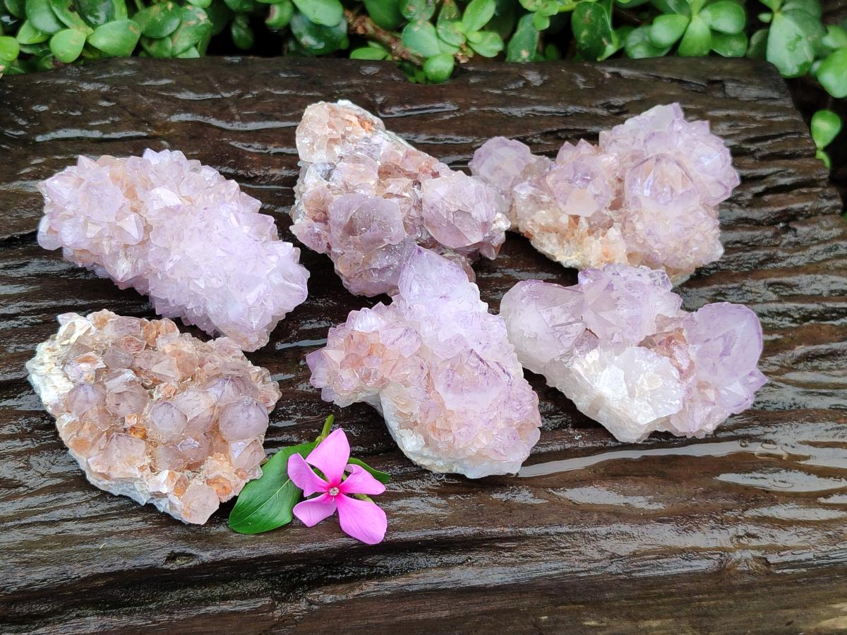 Natural Sunburst Amethyst Spirit Clusters x 6 From Boekenhouthoek, South Africa