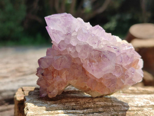 Natural Sunburst Amethyst Spirit Clusters x 6 From Boekenhouthoek, South Africa - Toprock Gemstones and Minerals 