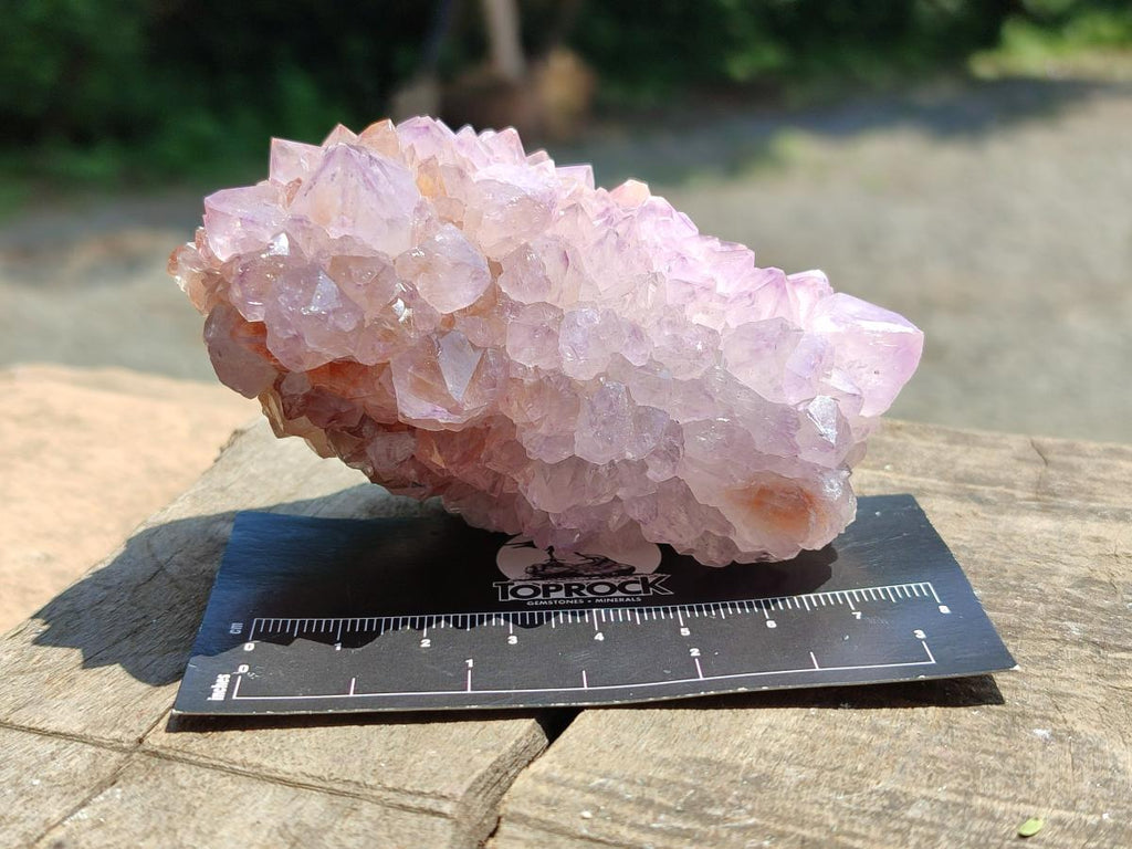 Natural Sunburst Amethyst Spirit Clusters x 6 From Boekenhouthoek, South Africa