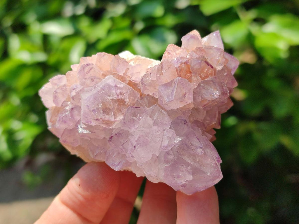 Natural Sunburst Amethyst Spirit Clusters x 6 From Boekenhouthoek, South Africa