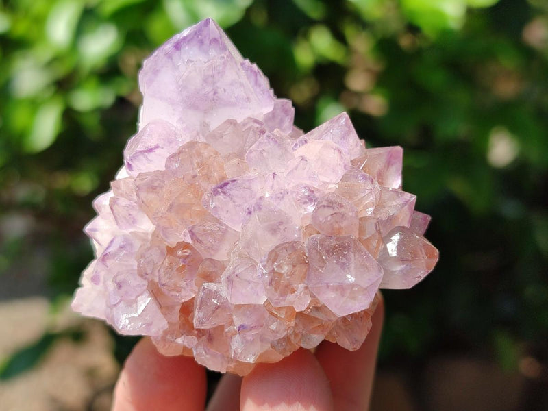 Natural Sunburst Amethyst Spirit Clusters x 6 From Boekenhouthoek, South Africa - Toprock Gemstones and Minerals 