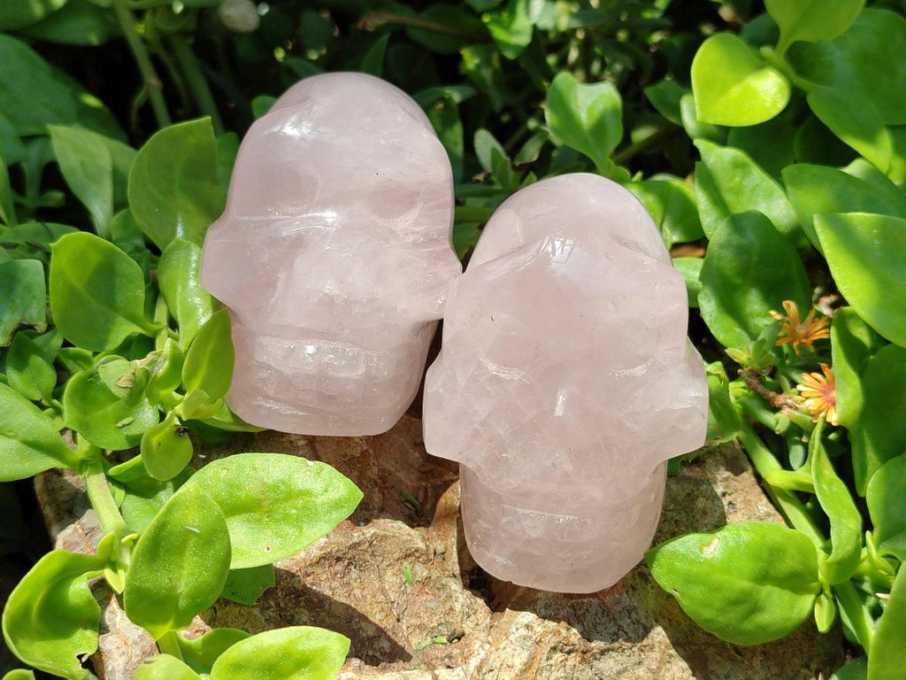 Hand Made Small Gemmy Rose Quartz Skulls x 4 From Madagascar