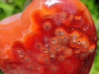 Polished Carnelian Agate Gemstone Hearts x 6 From Madagascar