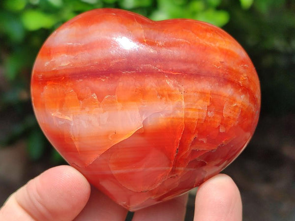 Polished Carnelian Agate Gemstone Hearts x 6 From Madagascar
