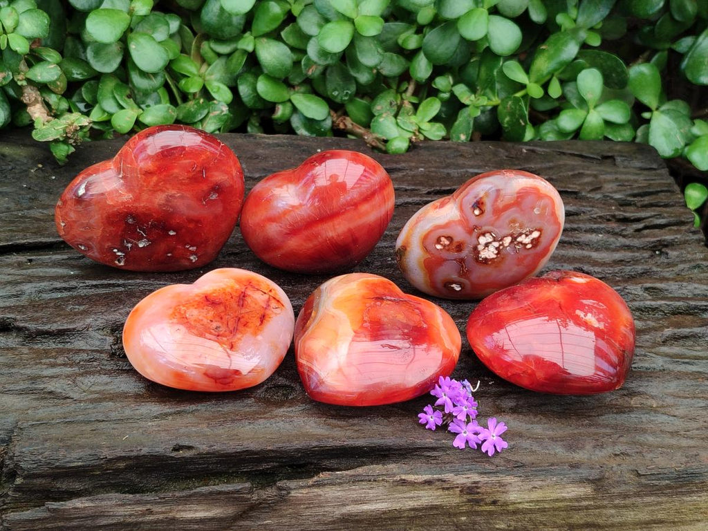 Polished Carnelian Agate Gemstone Hearts x 6 From Madagascar