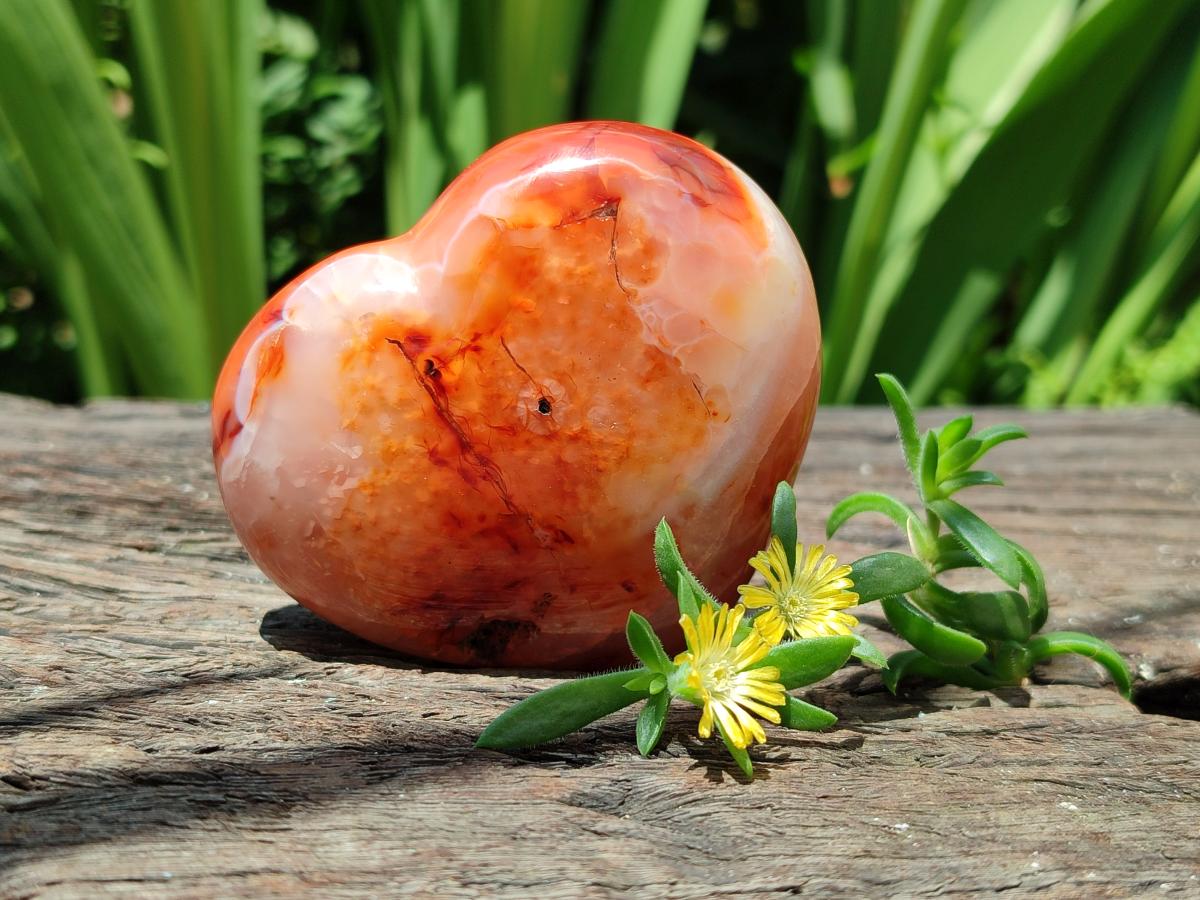 Polished Carnelian Agate Gemstone Hearts x 6 From Madagascar
