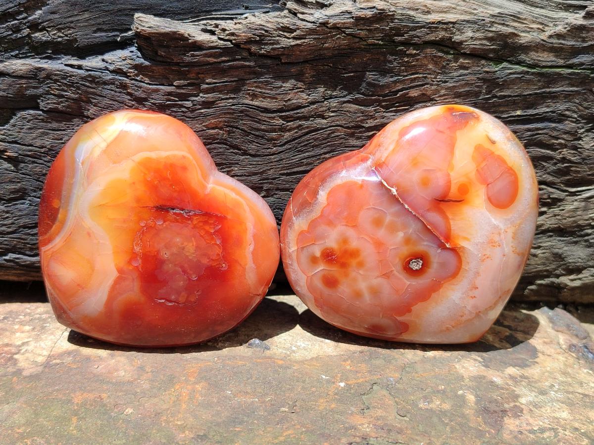 Polished Carnelian Agate Gemstone Hearts x 6 From Madagascar