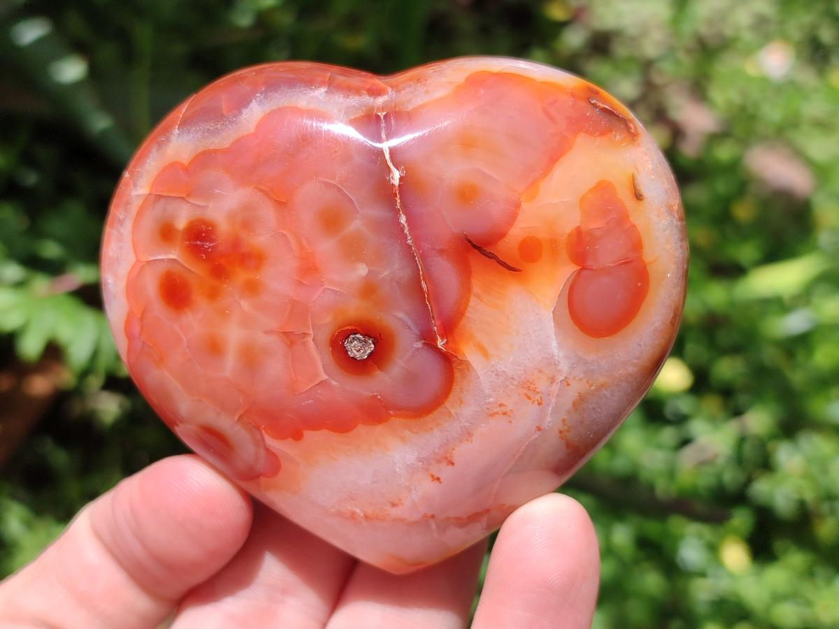 Polished Carnelian Agate Gemstone Hearts x 6 From Madagascar