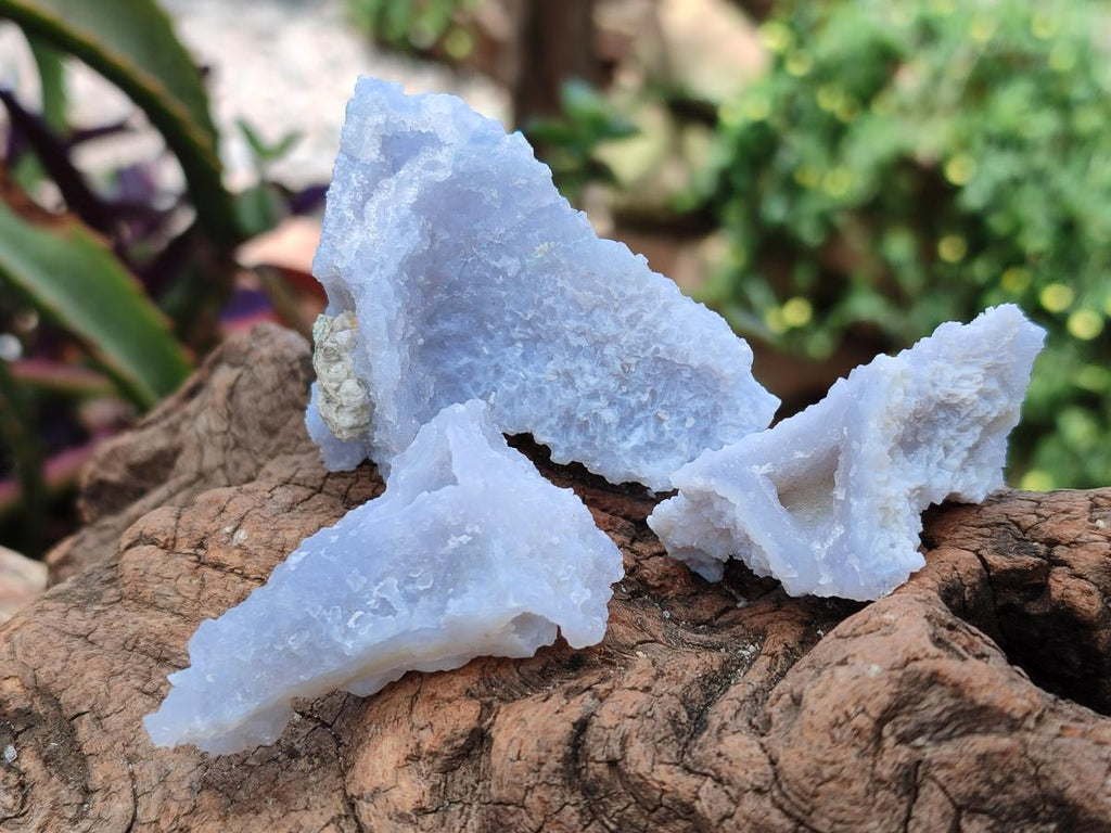 Natural Etched Blue Chalcedony x 35 From Nsanje, Malawi