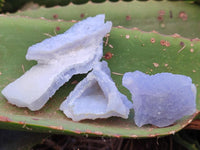 Natural Etched Blue Chalcedony x 35 From Nsanje, Malawi