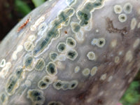 Polished Ocean Jasper Standing Free Form x 1 From Northwest Coast, Madagascar