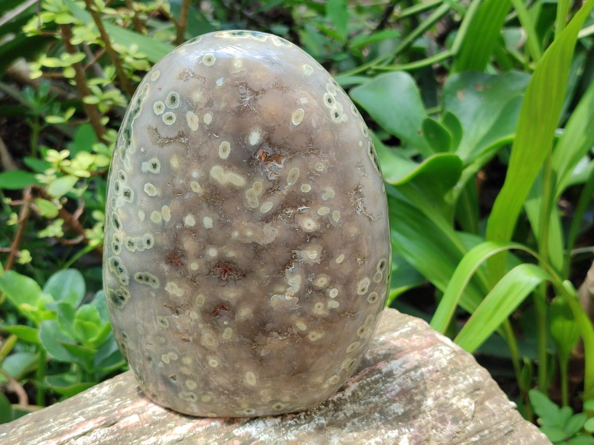 Polished Ocean Jasper Standing Free Form x 1 From Northwest Coast, Madagascar