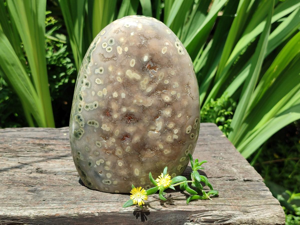 Polished Ocean Jasper Standing Free Form x 1 From Northwest Coast, Madagascar