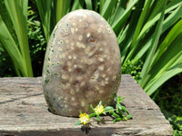 Polished Ocean Jasper Standing Free Form x 1 From Northwest Coast, Madagascar