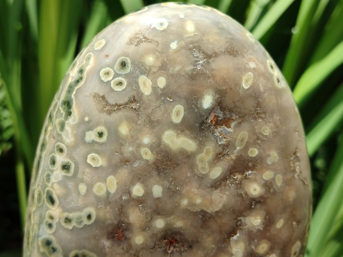 Polished Ocean Jasper Standing Free Form x 1 From Northwest Coast, Madagascar