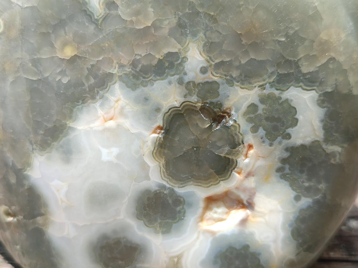 Polished Ocean Jasper Standing Free Form x 1 From Northwest Coast, Madagascar