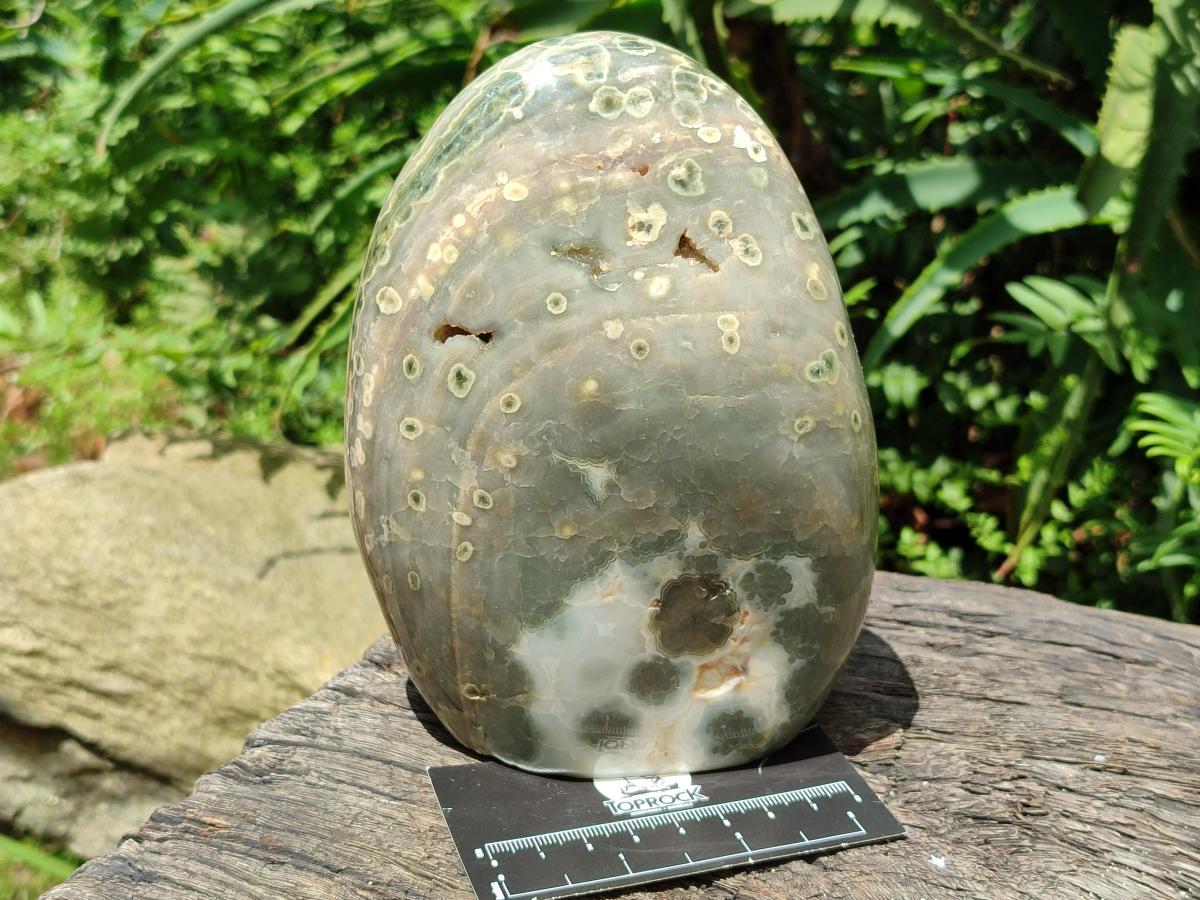 Polished Ocean Jasper Standing Free Form x 1 From Northwest Coast, Madagascar
