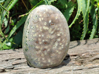 Polished Ocean Jasper Standing Free Form x 1 From Northwest Coast, Madagascar