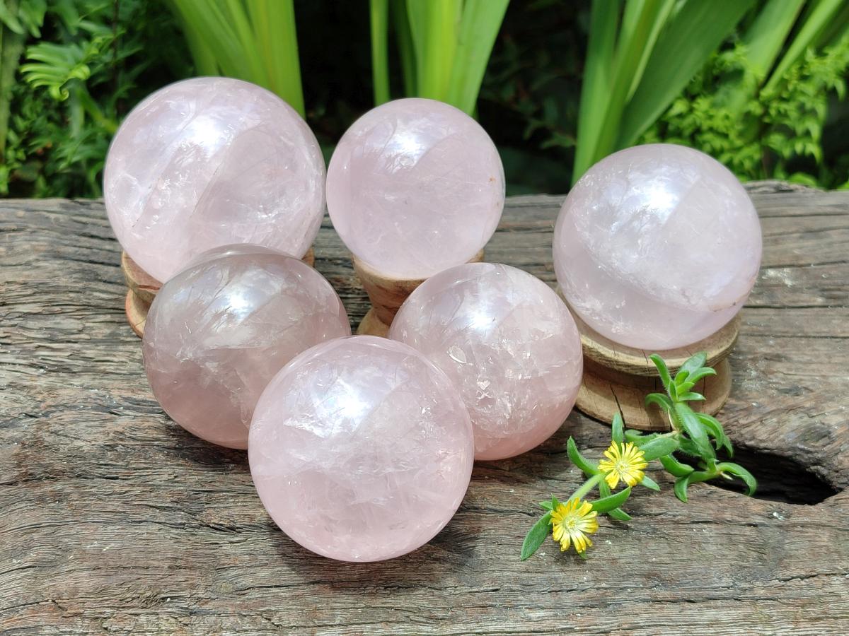 Polished Star Rose Quartz Spheres x 6 From Madagascar