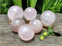 Polished Star Rose Quartz Spheres x 6 From Madagascar