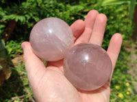 Polished Star Rose Quartz Spheres x 6 From Madagascar
