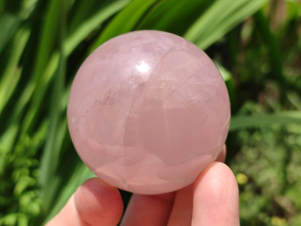 Polished Star Rose Quartz Spheres x 6 From Madagascar