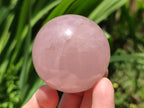 Polished Star Rose Quartz Spheres x 6 From Madagascar