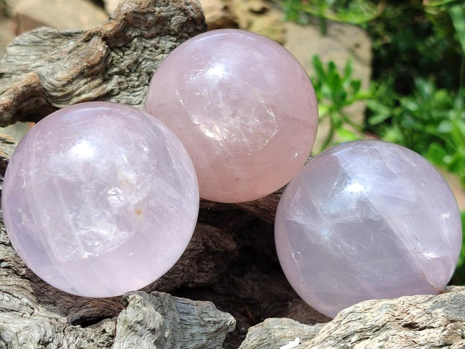 Polished Star Rose Quartz Spheres x 6 From Madagascar