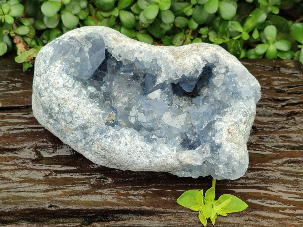 Natural XL Blue Celestite Geode Specimen x 1 From Sakoany, Madagascar