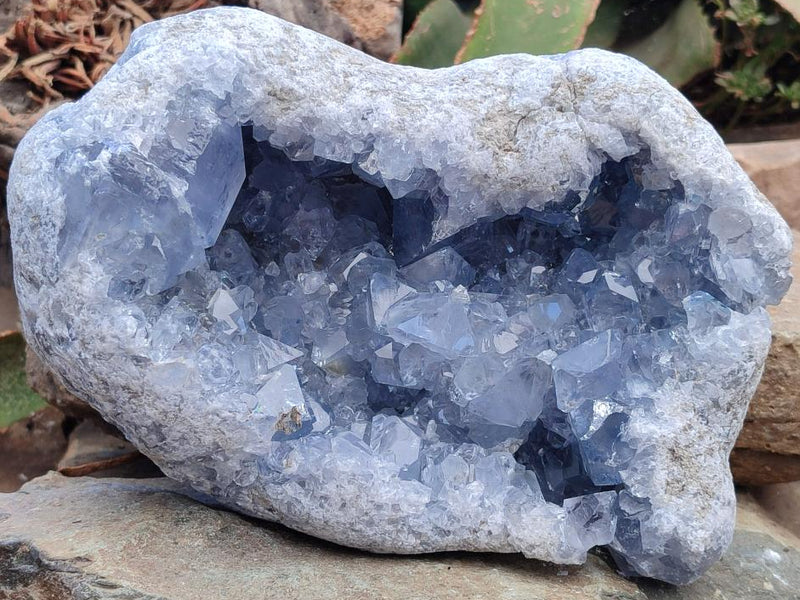 Natural XL Blue Celestite Geode Specimen x 1 From Sakoany, Madagascar - Toprock Gemstones and Minerals 