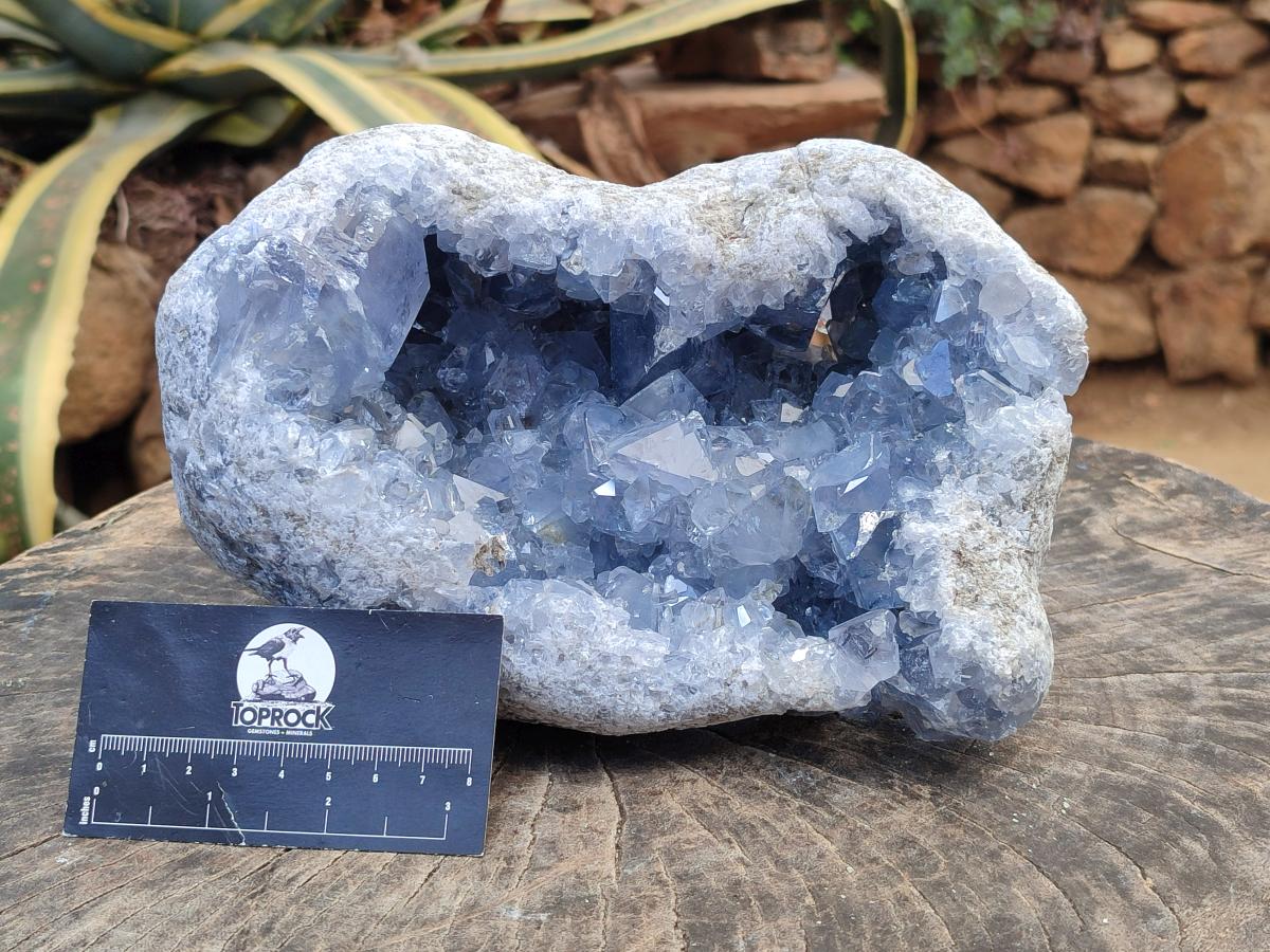 Natural XL Blue Celestite Geode Specimen x 1 From Sakoany, Madagascar