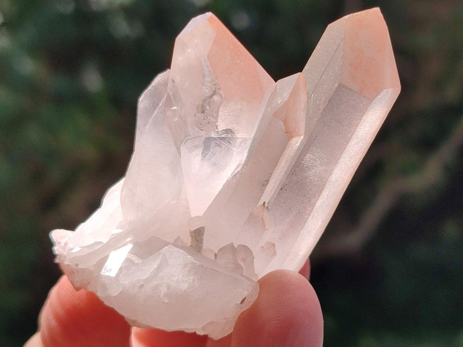 Natural Clear Quartz Clusters x 12 From Madagascar
