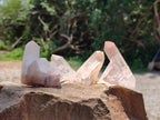 Natural Clear Quartz Clusters x 12 From Madagascar