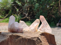 Natural Clear Quartz Clusters x 12 From Madagascar