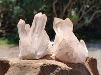 Natural Clear Quartz Clusters x 12 From Madagascar