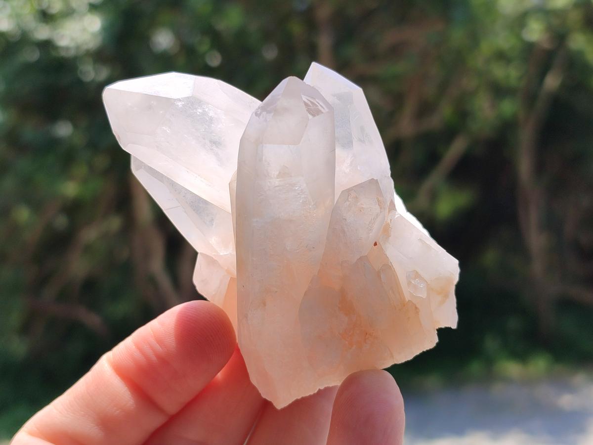 Natural Clear Quartz Clusters x 12 From Madagascar
