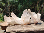 Natural Clear Quartz Clusters x 12 From Madagascar