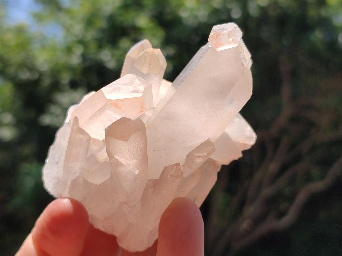 Natural Clear Quartz Clusters x 12 From Madagascar