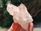 Natural Clear Quartz Clusters x 12 From Madagascar