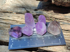 Polished Window Amethyst Crystals x 35 From Akansobe, Madagascar