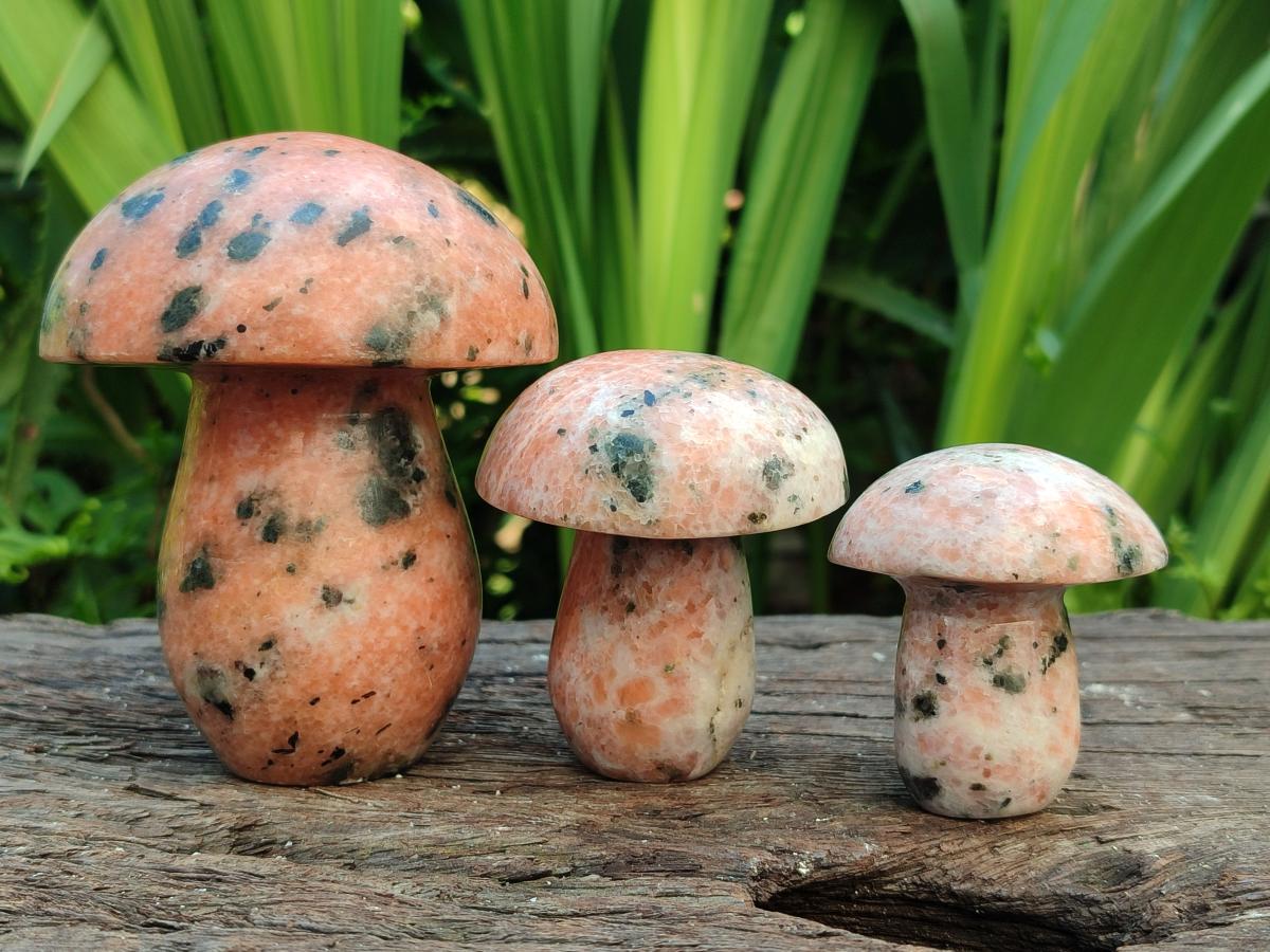 Polished Orange Calcite with Biotite Mica Mushrooms x 6 From Madagascar - Toprock Gemstones and Minerals 