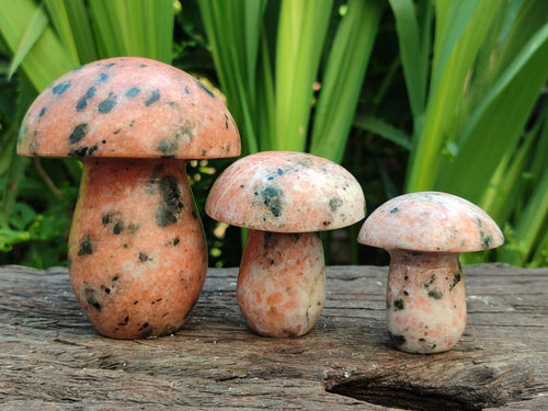 Polished Orange Calcite with Biotite Mica Mushrooms x 6 From Madagascar - Toprock Gemstones and Minerals 