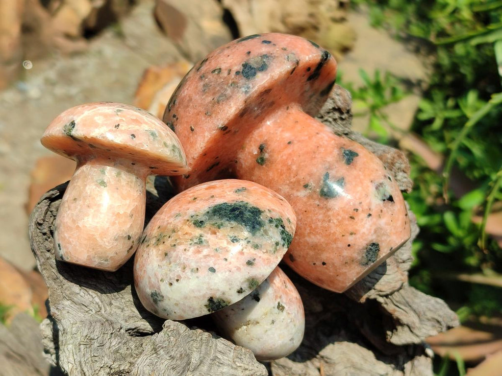 Polished Orange Calcite with Biotite Mica Mushrooms x 6 From Madagascar - Toprock Gemstones and Minerals 