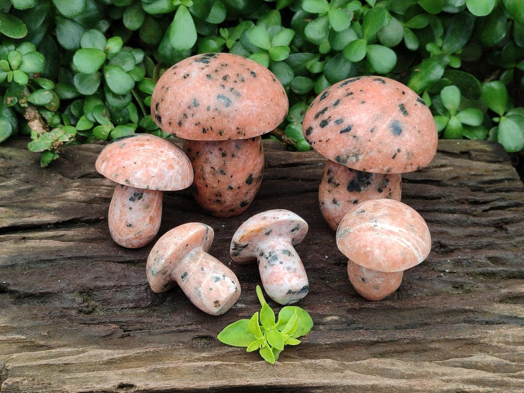Polished Orange Calcite with Biotite Mica Mushrooms x 6 From Madagascar - Toprock Gemstones and Minerals 